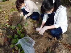 t2015.11.11 1.jpg
